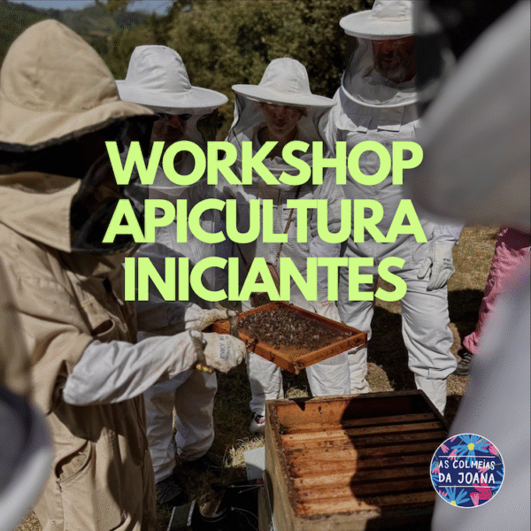 workshop apicultura iniciantes