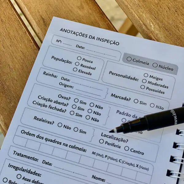 Caderno de campo da apicultura sustentável - Image 2