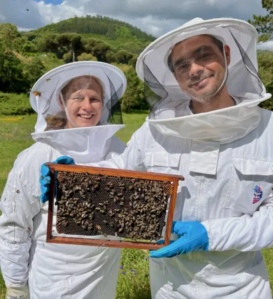 apiario 1 bee tour 1