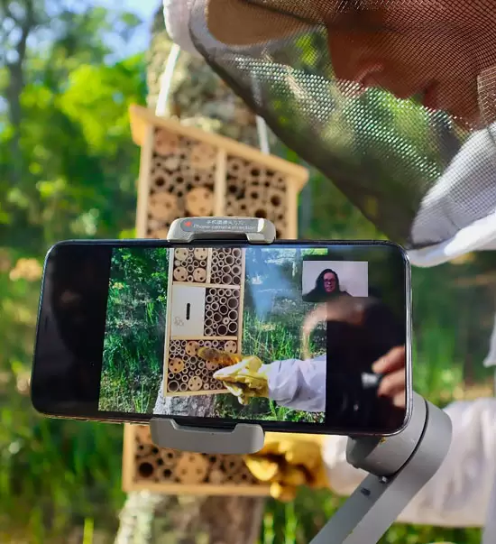 Meet my bees - As colmeias da Joana